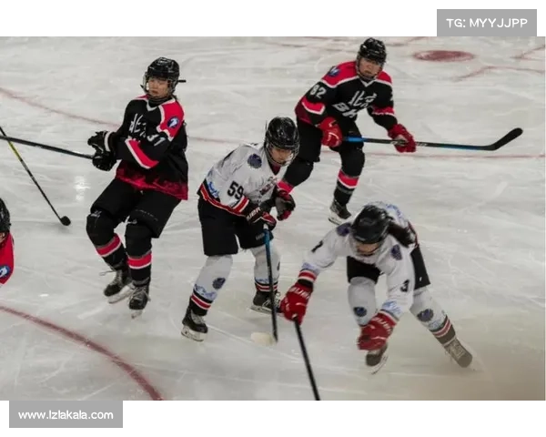 全国冰球赛事2024