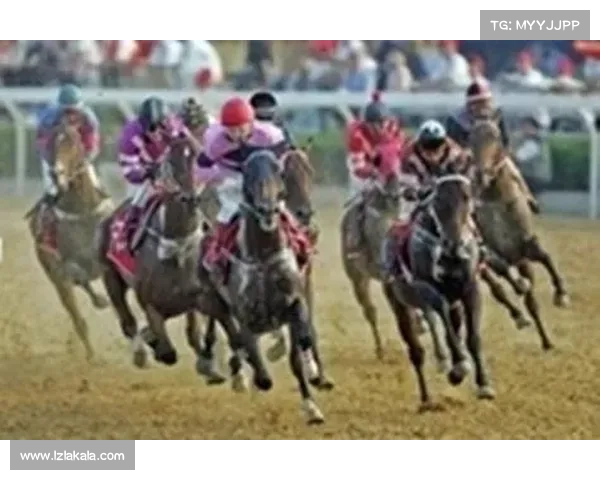 武汉东方马城赛事2021年武汉东方马城赛马